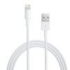 APPLE CABLE USB MD818ZM / A IPHONE LIGHTING 8-PIN