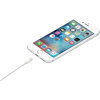 Kabel Apple MUQW3ZM/A blister 1mLightning iPhone 5/SE/6/6 Plus/7/7 Plus/8/8 Plus/X/Xs/Xs Max/Xr