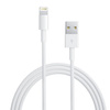 APPLE ORYGINALNY KABEL USB MD818ZM/A IPHONE LIGHTING 8-PIN 1M BULK BEZ OBWÓDKI