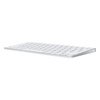 APPLE MAGIC KEYBOARD WITH TOUCH ID KEYBOARD A2449 WITHOUT PACKAGE GRADE AB