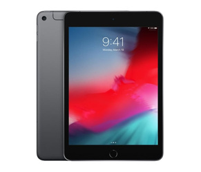 Apple iPad Mini 64GB Wifi + Cellular Szary Grade BC