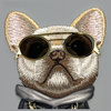 Nimmy etui iPhone 16 6.1" szary/gray      Glasses Cool Dog