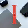 TECH-PROTECT ICONBAND APPLE WATCH 4/5/7/7 / SE (38/40 / 41 MM) RED