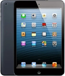 Apple iPad Mini 16GB WiFi + Cellular Czarny Grade BC