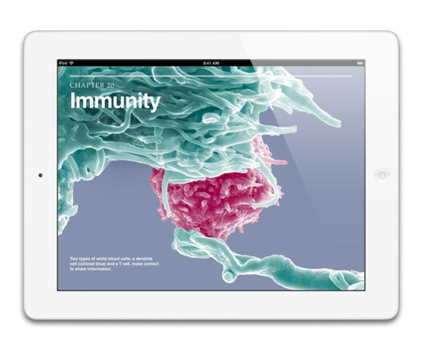 [OUTLET] Apple iPad 4 (Retina Display) 16GB WiFi White Grade AB