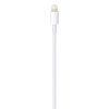 APPLE CABLE A1703 / A2249 TYP C LIGHTNING 1M BULK