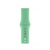 Apple Sport Band Apple Watch 42/44/45MM SPEARMINT OPEN PACK