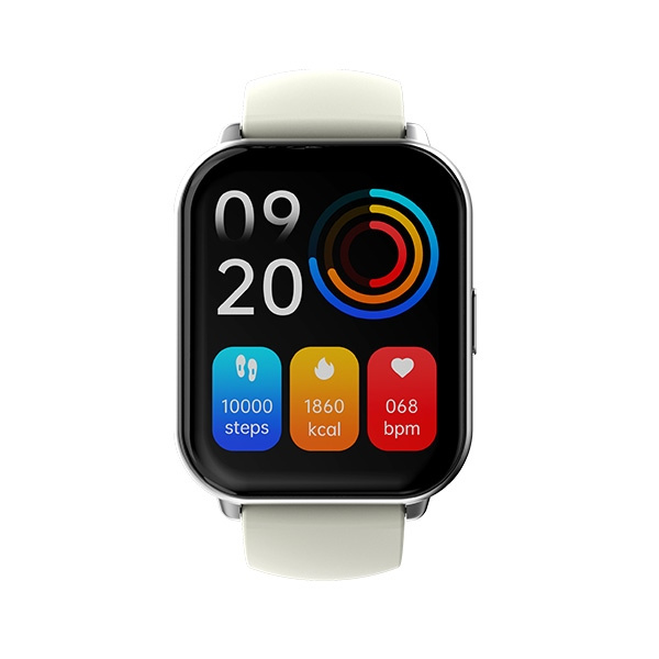 HiFuture smartwatch Zone 2 szary/grey (HSFZ2SL)