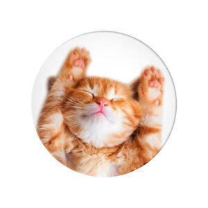 Popsockets Uchwyt na telefon Snoozy Cat