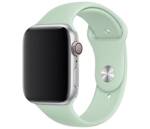 Apple Sport Band Apple Watch MWUQ2ZM/A 44MM BERYL ORYGINALNA PLOMBA