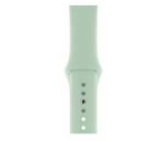 Apple Sport Band Apple Watch MWUQ2ZM/A 44MM BERYL ORYGINALNA PLOMBA